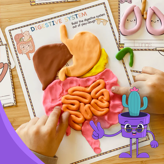 Human Organs Playdough Mats