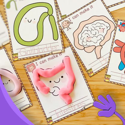 Human Organs Playdough Mats