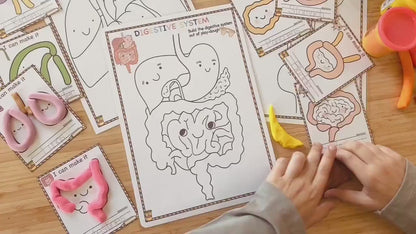 Human Organs Playdough Mats